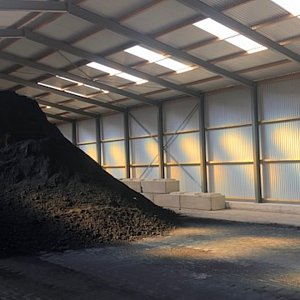 jawini img 1946 normal